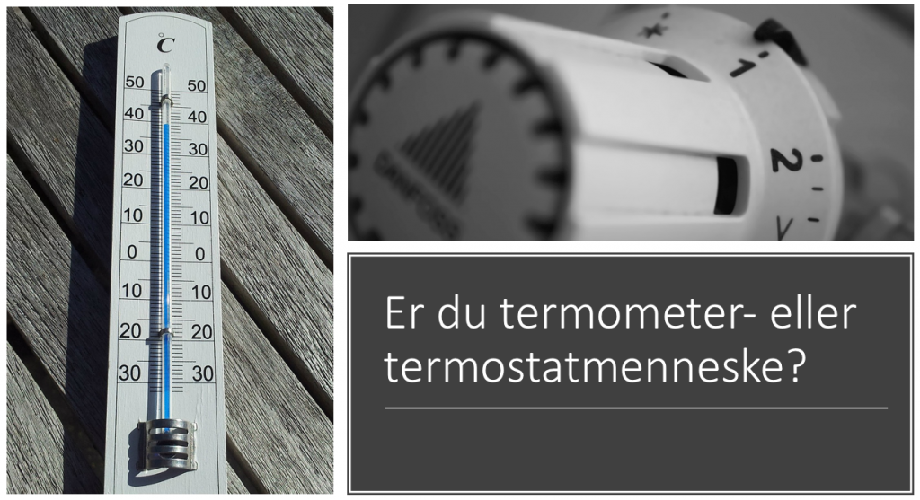 Termometer' 'Termostat' - hvilken mennesketype er du? – Stayhuman